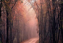 SG胜游(中国大陆)-官方网站:郵報:切爾西本賽季捧起歐洲超級杯與世俱杯 但不會發放額外獎金.