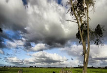 (巴黎奥运)中国组合拿下巴黎奥运首金:举重若轻真少年.