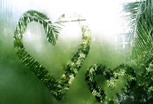 [NHL]常规赛：科罗拉多雪崩4-2卡尔加里火焰 集锦.