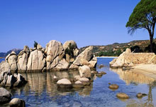 胜游亚洲入口：[乒乓球]亚洲杯1／4决赛：孙颖莎VS张本美和 集锦.